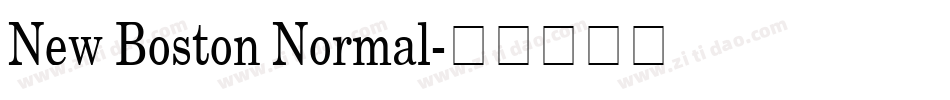 New Boston Normal字体转换